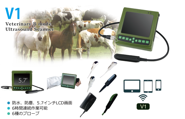 V1-動物用ポータブル超音波診断装置
